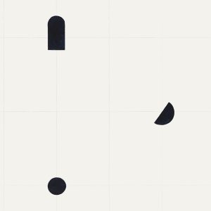 Shape Study