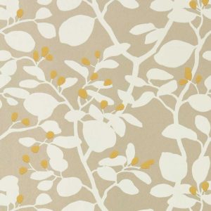 Ardisia