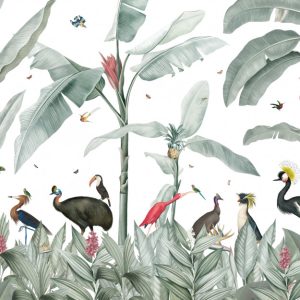 Casela Birds M/2