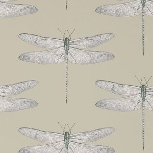 Demoiselle