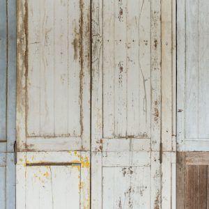 Doors Wall M/2