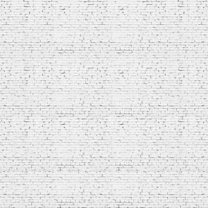 Grunge Brick Wall M/2