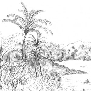 Hanalei M/2