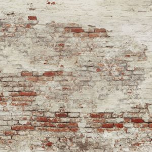 Old Brick Wall M/2