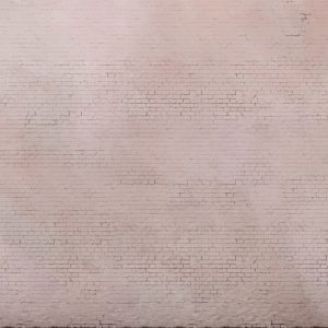Pink Brick Wall M/2