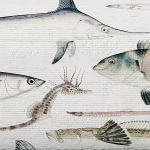 White Brick Wall & Fish M/2