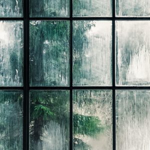 Window Factory M/2