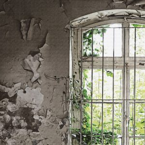 Window Garden M/2
