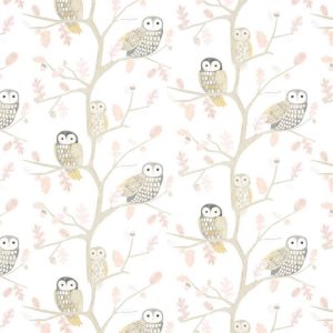 Little Owls
