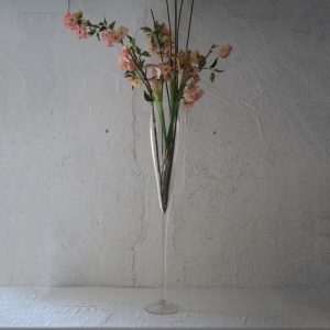 Vaso Champagne