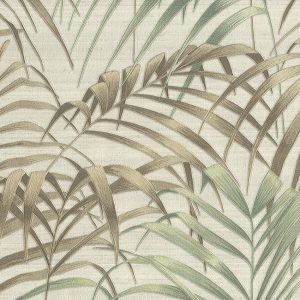 Fern