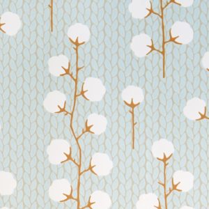 Sweet Cotton