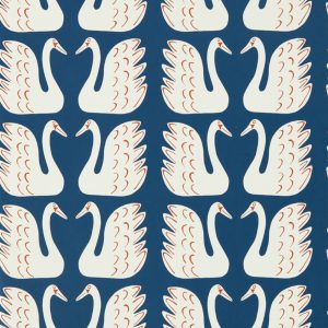 Swim Swam Swan