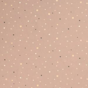 Stardust