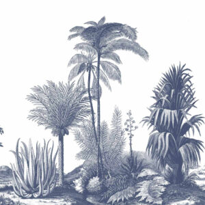 Aloes M/2