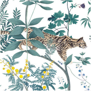 Wild Story M/2